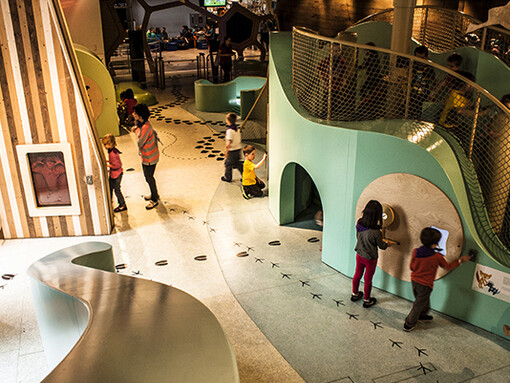 Buzzz! Courtesy of Copernicus Science Centre