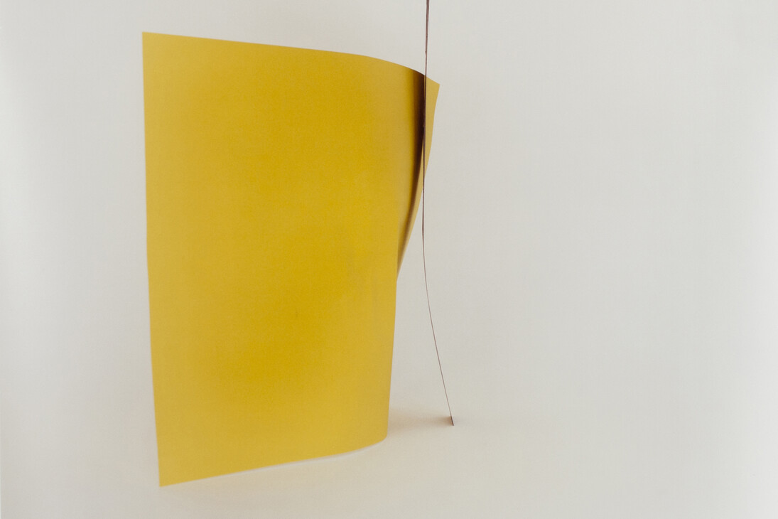 Viola Yeşiltaç, Untitled (I really must congratulate you on your attention to detail), 2012. 14. 24 x 28 inches.