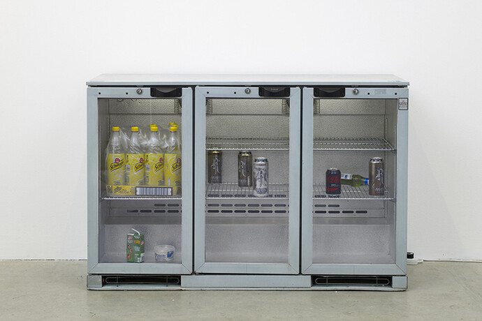 Stephen Dwoskin, 2015, Vilma Gold, London, installation view
