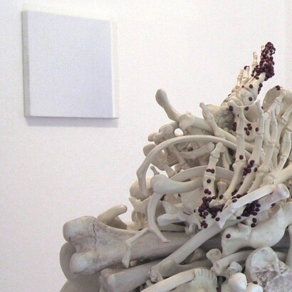 Bertozzi&Casoni e Gianfranco Zappettini, installazione
