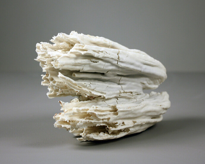The Evocation of a Moment; A Gesture Jessica Drenk. Courtesy of Adah Rose Gallery