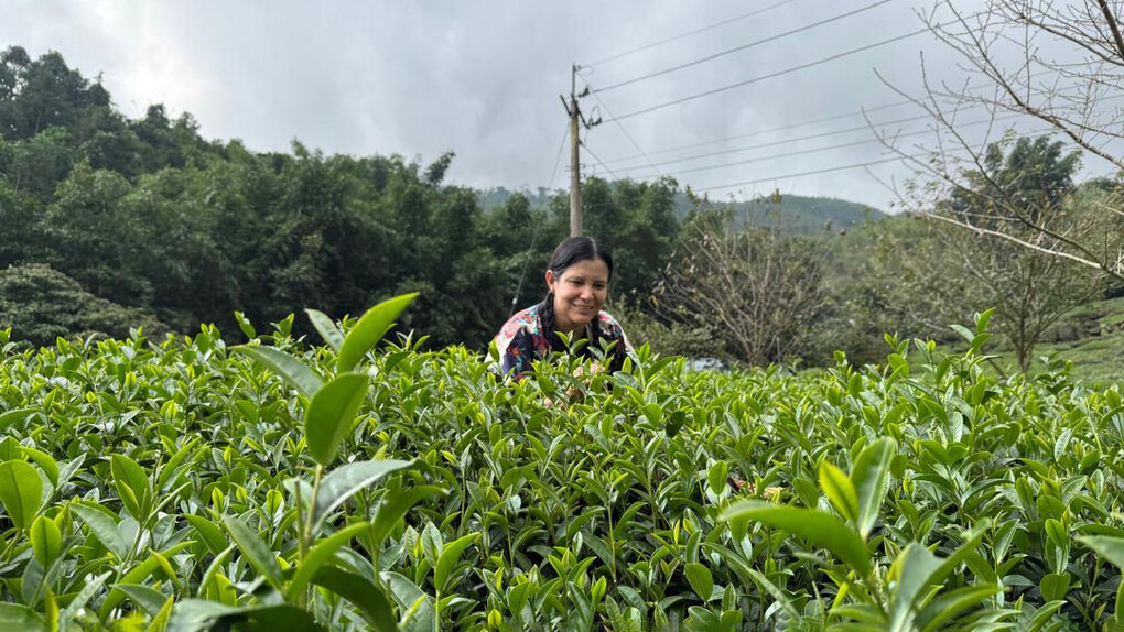 Miriam Gómez, fundadora de Caracas Tea Company, ha dedicado más de una década a la difusión de la cultura del té en Venezuela