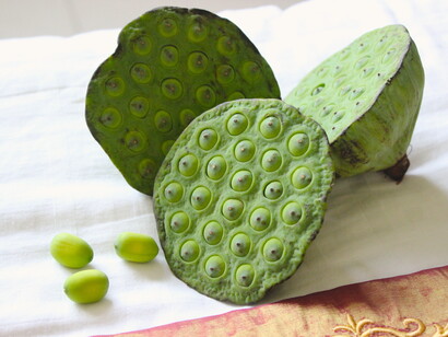 *Graines de lotus*. Photographie La Kitchenette de Miss Tam/Minh-Tâm Trân