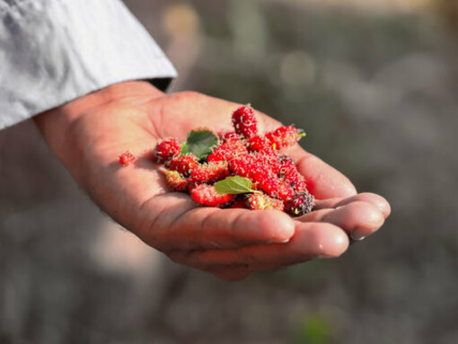 Don’t offer any explanation, excuses, views, justifications