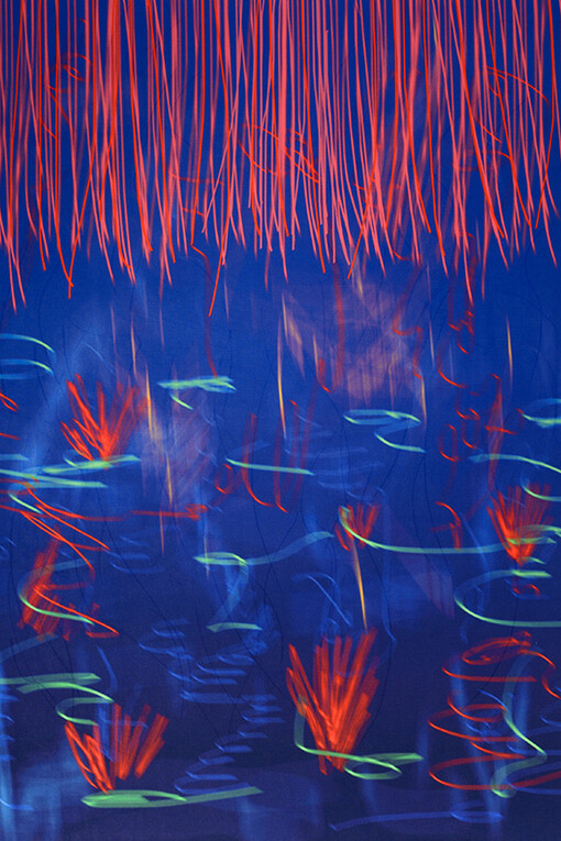 Ry David Bradley, 21th Century #3, 2017