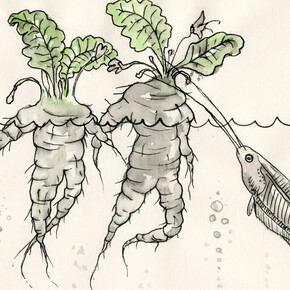 Art Experiment: Laboratories of Earthly Survival. Courtesy of Garage Museum of Contemporary Art