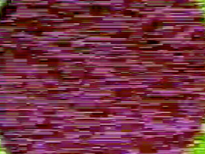 Steina & Woody Vasulka. Courtesy of Pori Art Museum