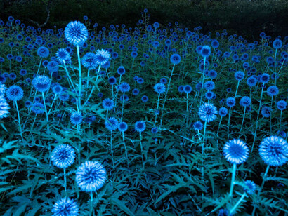 Sari Soininen, Vision 2, from the series Shallow waters misty waves, 2023. Courtesy of Aboa Vetus and Ars Nova