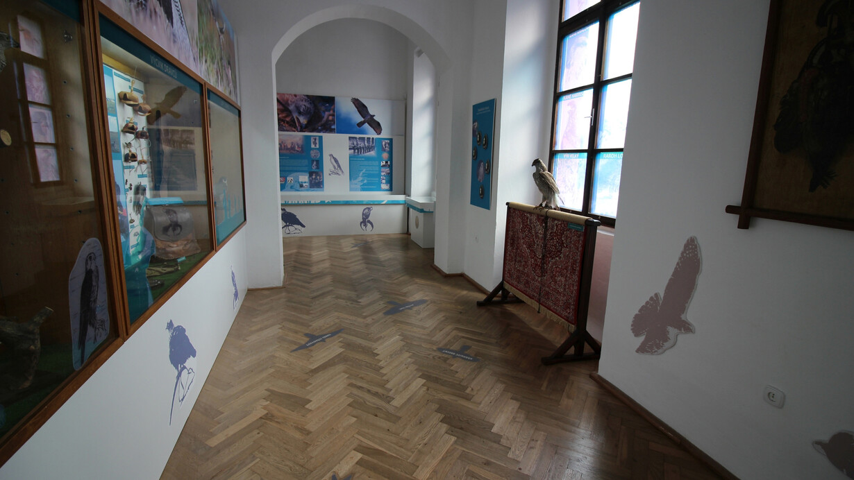 Falconry. Courtesy of National Museum of Agriculture