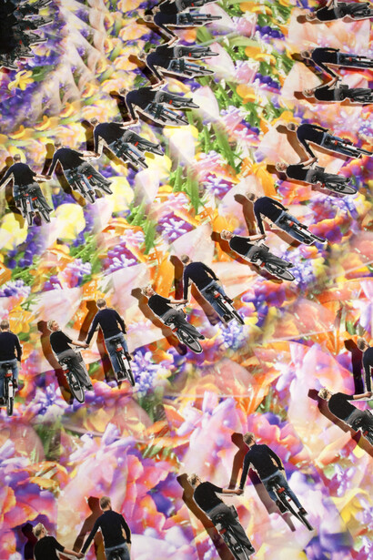 Eric Dyer, Late Spring, 2005-2014, Cut inkjet prints, foam board. Courtesy of Ronald Feldman Fine Arts, New York