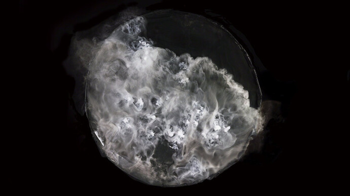 Telluris. Courtesy of Galerie Les filles du calvaire 