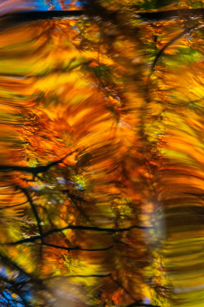 Autumn light in the water, photographed by Francesco Ungaro