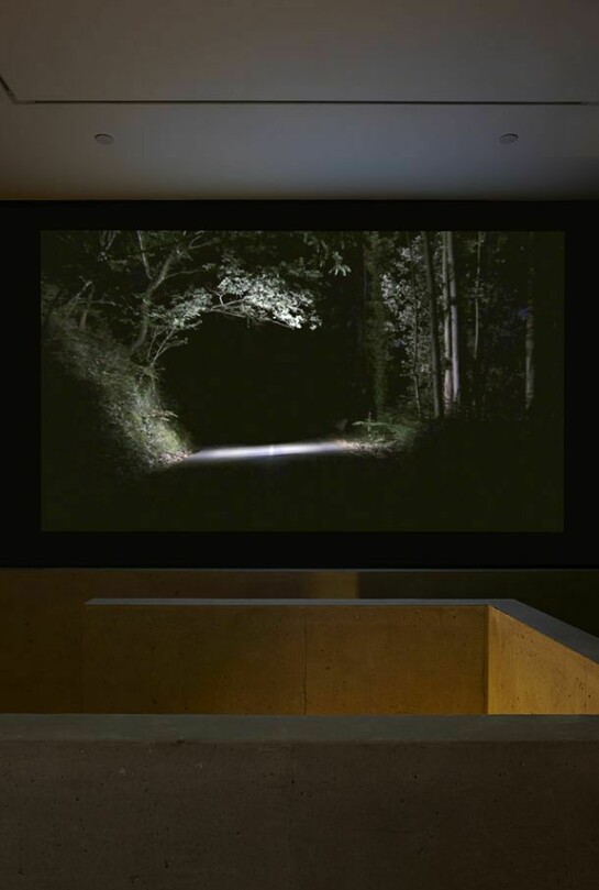 Carlos Irijalba, Inertia, 2012, HD video, colour, sound, 04:20 min, courtesy of the artist and Carroll / Fletcher