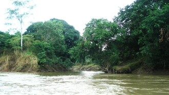 Desembocadura del río Sardinal en el Sarapiquí. Foto: Luko Hilje