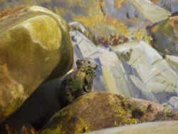 Hall of North American Wildlife. Courtesy of Carnegie Museum of Natural History