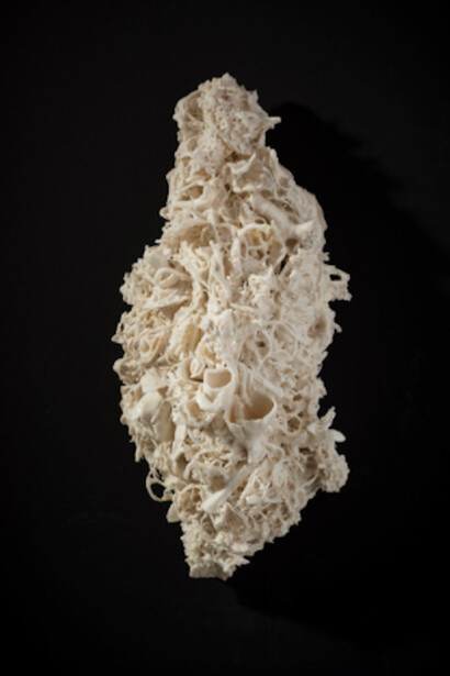 Lucille Lewin, New Order I, 2017. Courtesy of Cynthia Corbett Gallery
