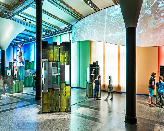 Macaws. Courtesy of Museum für Naturkunde