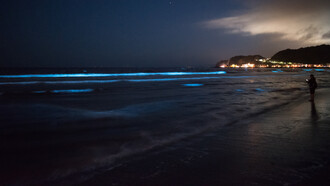 O mar leitoso é um fenômeno bioluminescente raro que cria um brilho contínuo e leitoso no oceano, intrigando marinheiros e cientistas. Causado por bactérias bioluminescentes, ele oferece um espetáculo natural deslumbrante e misterioso