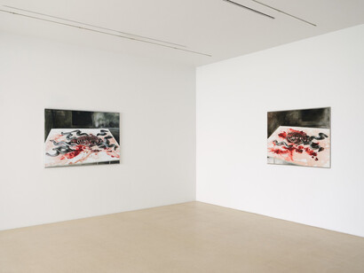 Karol Palczak, Blich, exhibition view. Courtesy of Fundacja Galerii Foksal