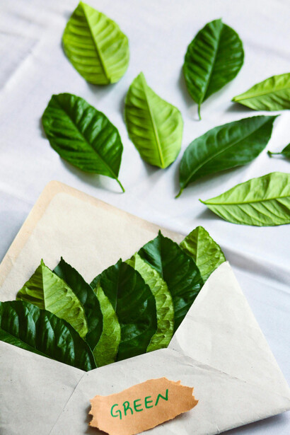 Nego Bispo e a ideia de "envolvimento" em vez de "desenvolvimento" para um futuro sustentável