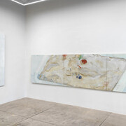 Mai Takeshita, Living landscapes, exhibition view. Courtesy of Alison Bradley Projects