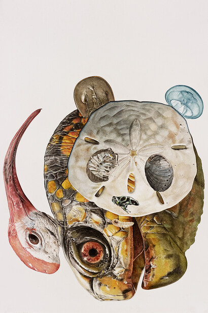 Alfred Steiner, Panda, 2014, Watercolor on paper, 30 x 22 inches