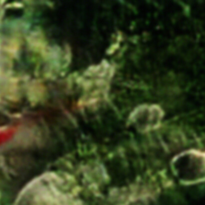 Casey Reas. Courtesy of DAM Gallery