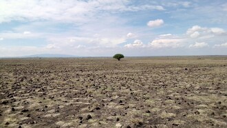 La carenza idrica globale accelera la desertificazione, trasformando terreni fertili in deserti e riducendo la capacità delle regioni di sostenere l'agricoltura e la vita umana