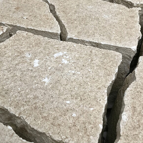 Michael Joo. Courtesy of Galeria Carles Taché