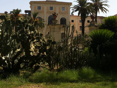 L'orto botanico di Roma, Largo Cristina di Svezia