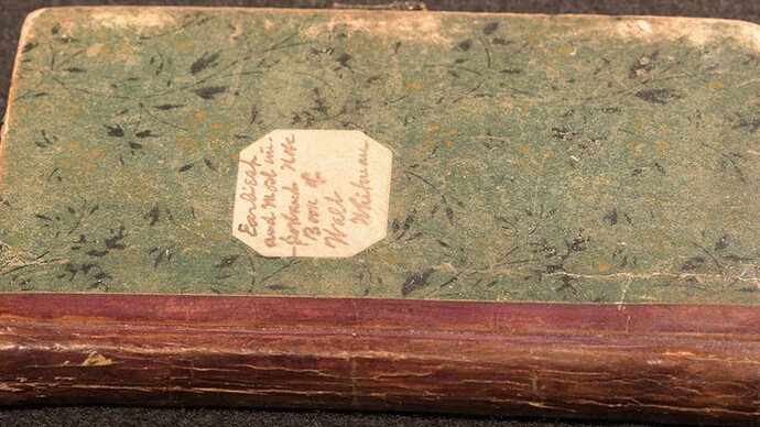 Walt Whitman. Courtesy of Morgan Museum