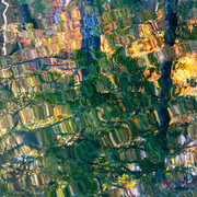 Thad Lee, Fall pool (1/7), 2024. Courtesy of Spalding Nix Fine Art