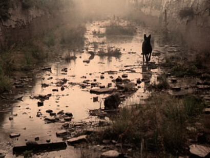 Stalker di Andrej Tarkovskij, (1979). Ci viene richiesto di ascoltare, di dare voce a quei rari momenti in cui percepiamo qualcosa al di là delle limitazioni della nostra esperienza quotidiana