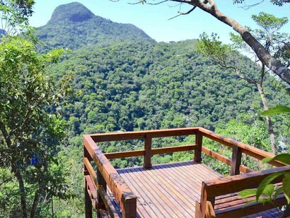 Parque Florestal da Tijuca, Rio de Janeiro, Brasil