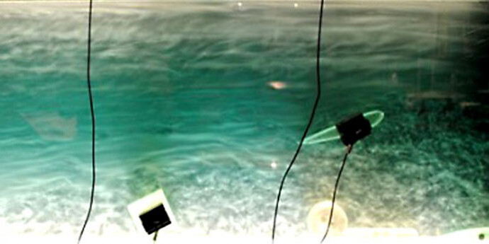 Water and How It Moves. Courtesy of Montshire Museum of Science