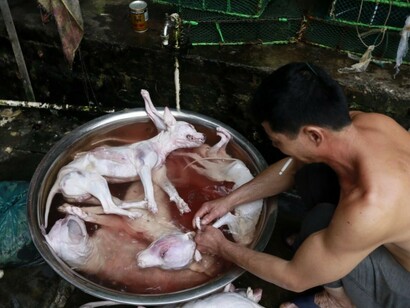 Homen preparando a carne no Festival da Carne de Cão em Yulin, China