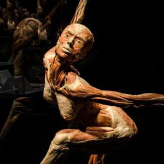Body Worlds: Pulse. Courtesy of California Science Center