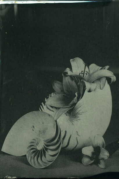 Giancarlo Pagliara, Ferrotipia