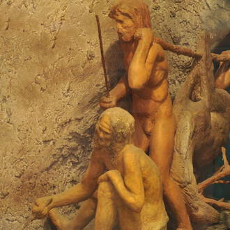 The development of domestic animals. Courtesy of Museum and Library of Hungarian Agriculture