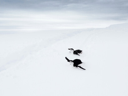 Uno studio indica che l'area del Polo Sud si sta scaldando a una media tre volte maggiore rispetto a quella globale
