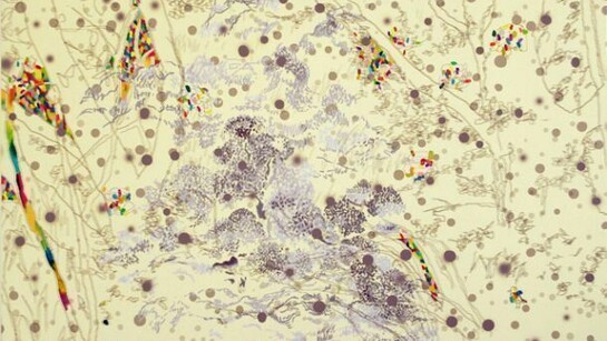 Ryotaro Endo, Our landscape / There are reasons but no meaning / …　2012, 194 × 194 cm inkjet print and oil on canvas