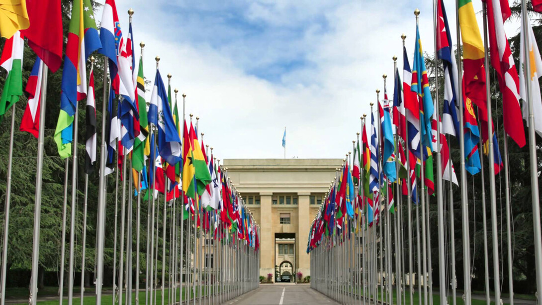 International Diplomacy