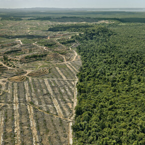 Anthropocene. Courtesy of Art Gallery of Ontario