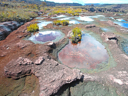 Roca en la cumbre del tepuy