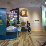 Native truths: our voices, our stories, exhibition view. Courtesy of Field Museum
