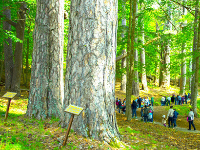 Parque Nacional de la Sila