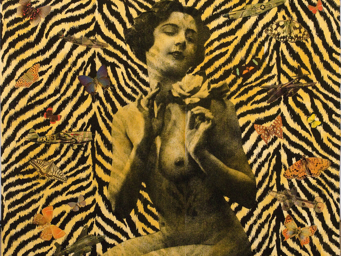 Wildcat Will, Girl with flowers and aeroplanes 2015 (detail)