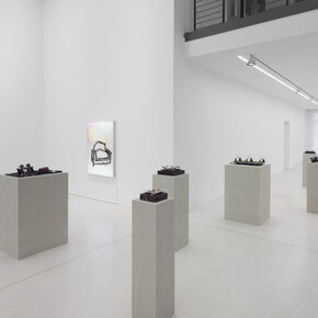 Ran Zhang, Dark romance, exhibition view. Courtesy of Plan B Gallery