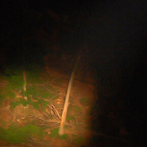 Alan Michelson. Courtesy of Whitney Museum