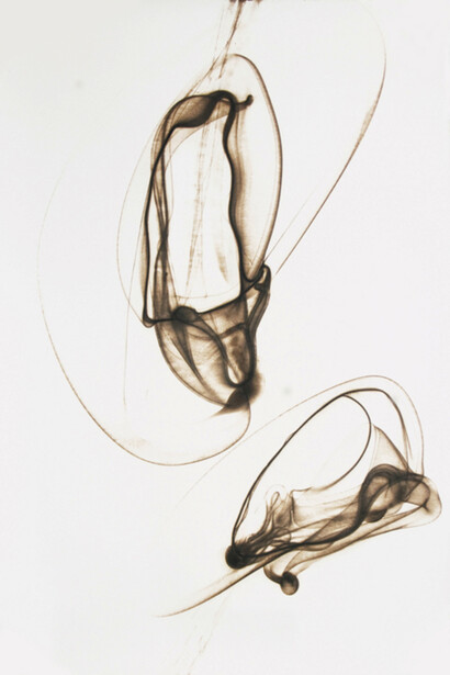 Etsuko Ichikawa, Trace 1797 (framed), 2007, glass pyrograph on paper, 60x40 inches. Courtesy of Winston Wächter Fine Art